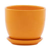 Orange Planter with Saucer