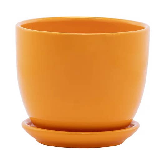 Orange Planter with Saucer