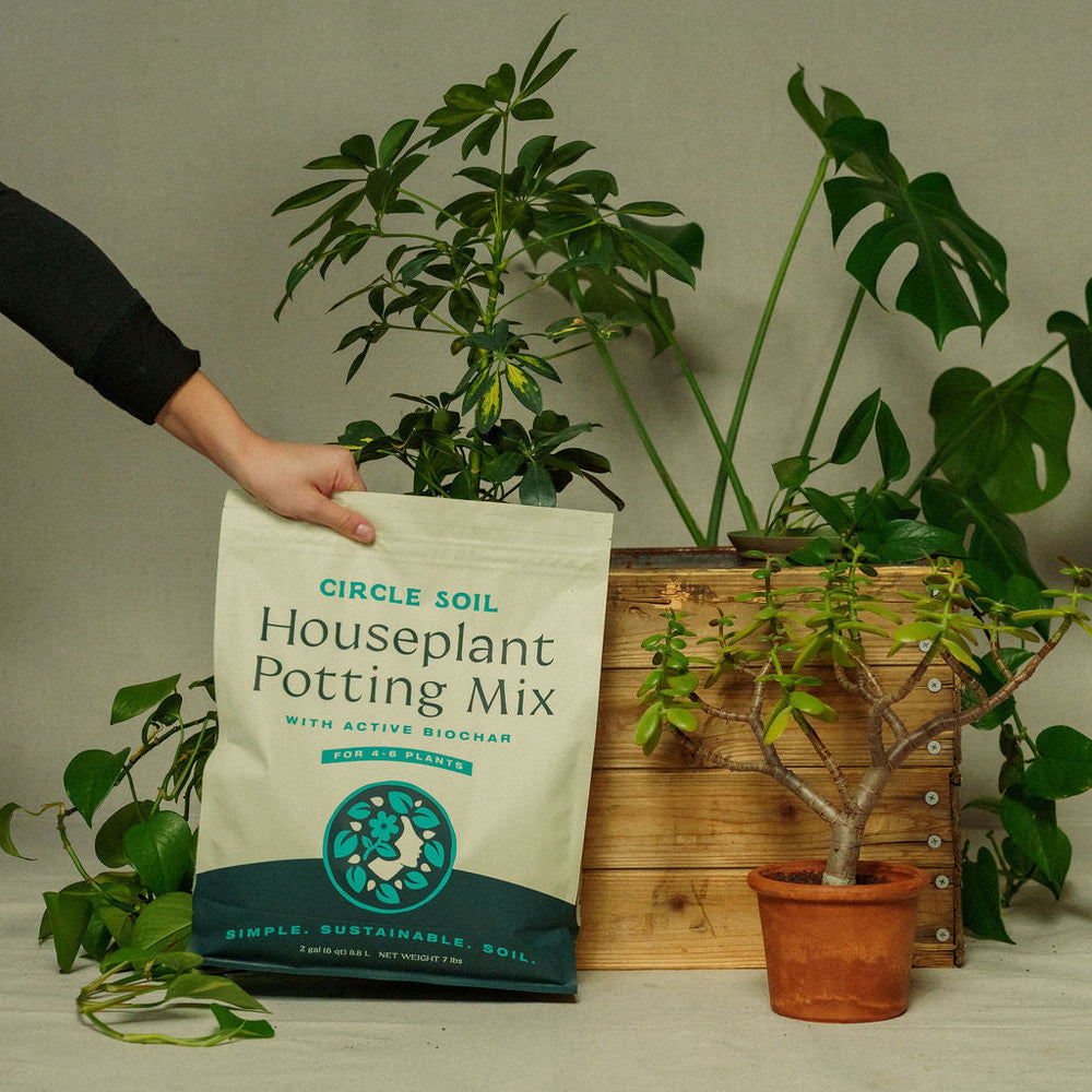 Premium Houseplant Potting Mix