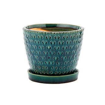 Teal ceramic planter with textured design on a white background