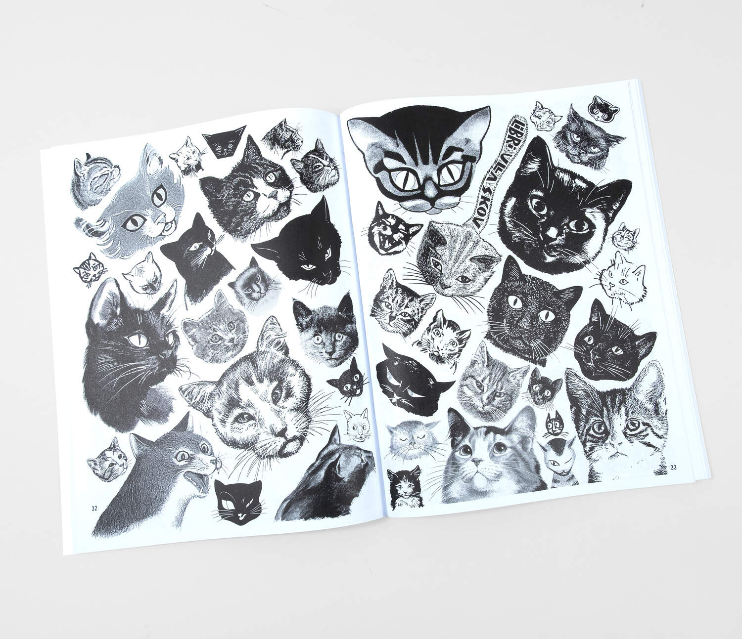 Crap Hound (Cats)