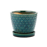 Teal ceramic planter with textured design on a white background
