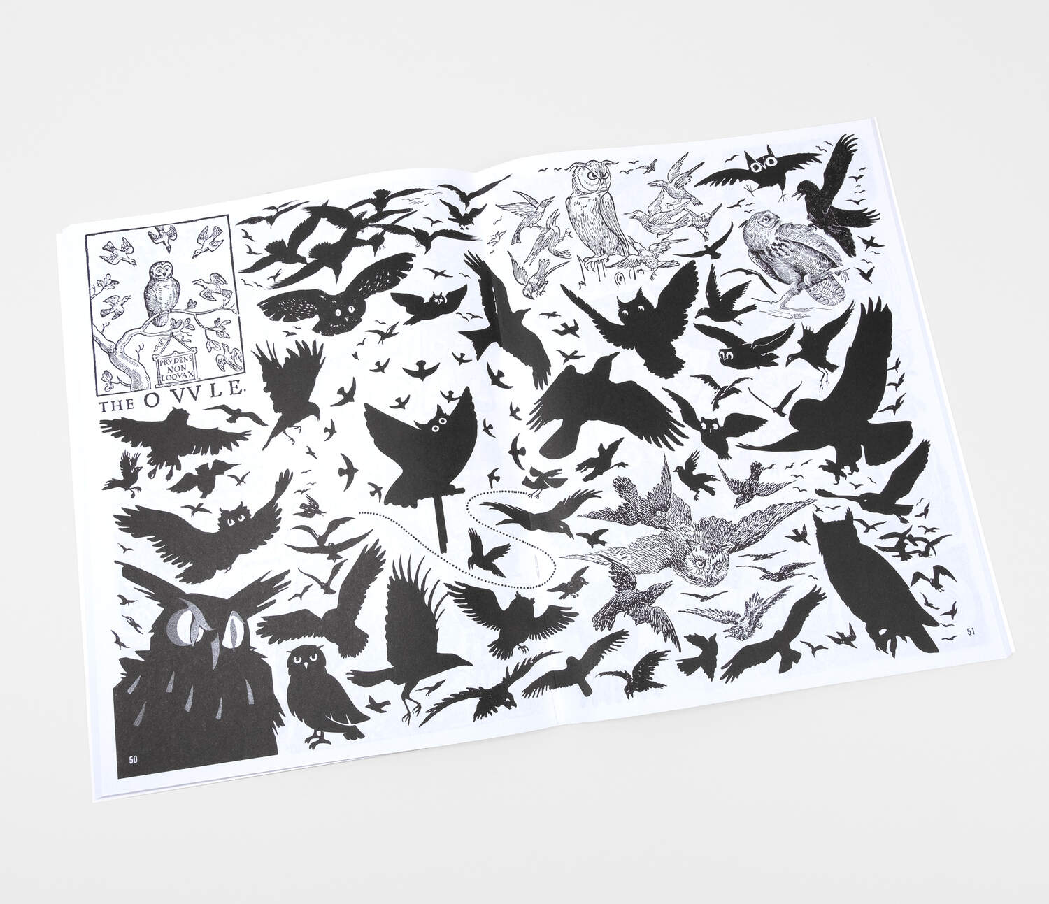 Crap Hound (Owls & Crows)